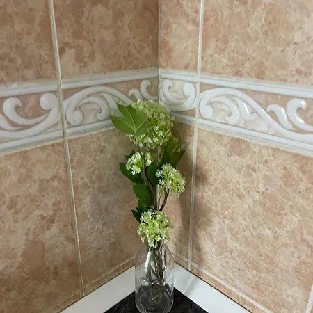 Centar Lux * 诺威萨