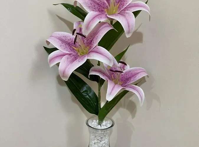 Apartamento Centar Lux *